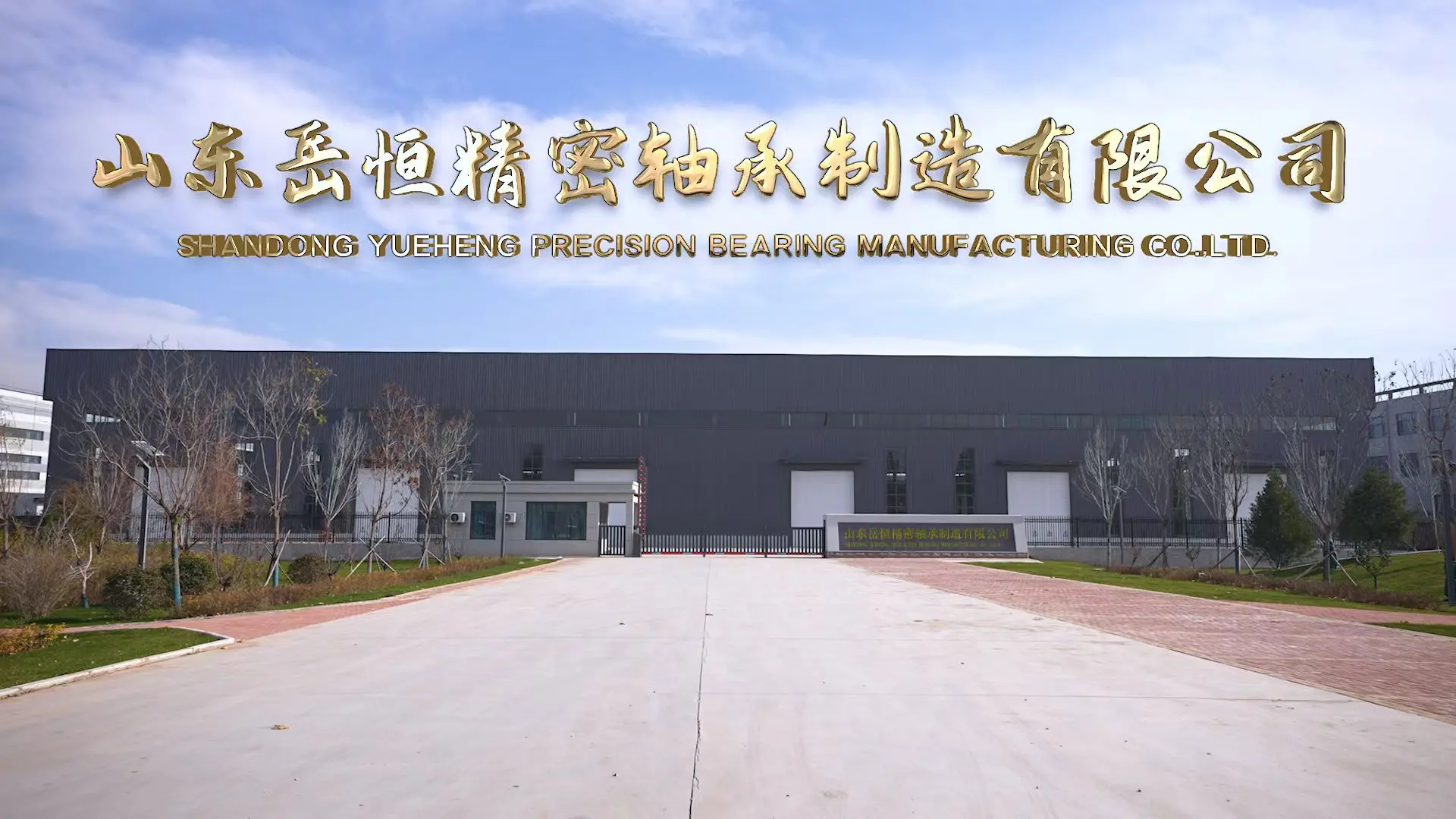 Shandong Yueheng Precision Bearing Manufacturing Co., Ltd Shandong Yueheng Precision Bearing Manufacturing Co., Ltd